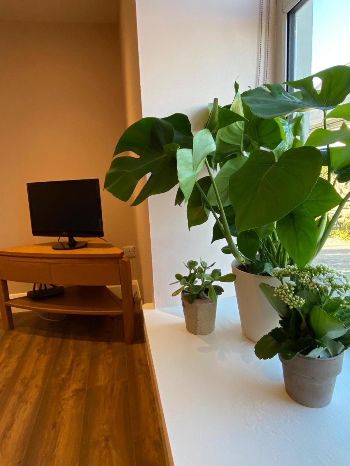 Appartement Croagh Patrick Studio à Murrisk Extérieur photo